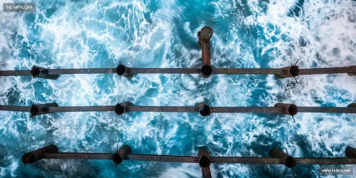 im电竞🏐跳跃、扣杀、协作 —— 团队的力量,让赛场闪耀光芒!